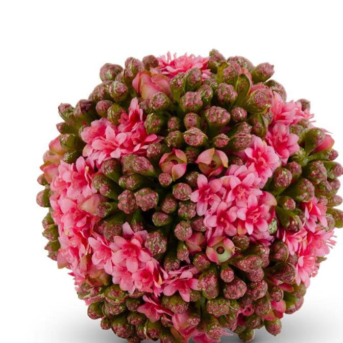 4 Inch Pink Kalanchoe Ball