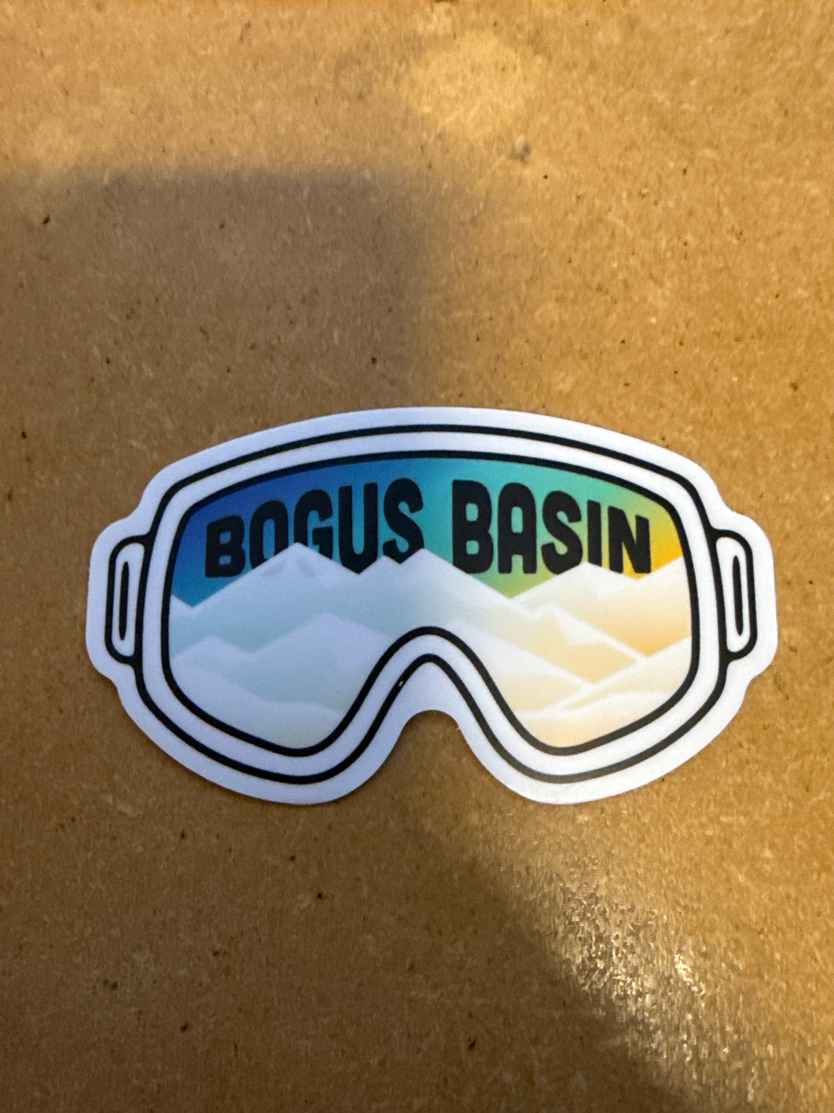 Bogus Basin Goggles