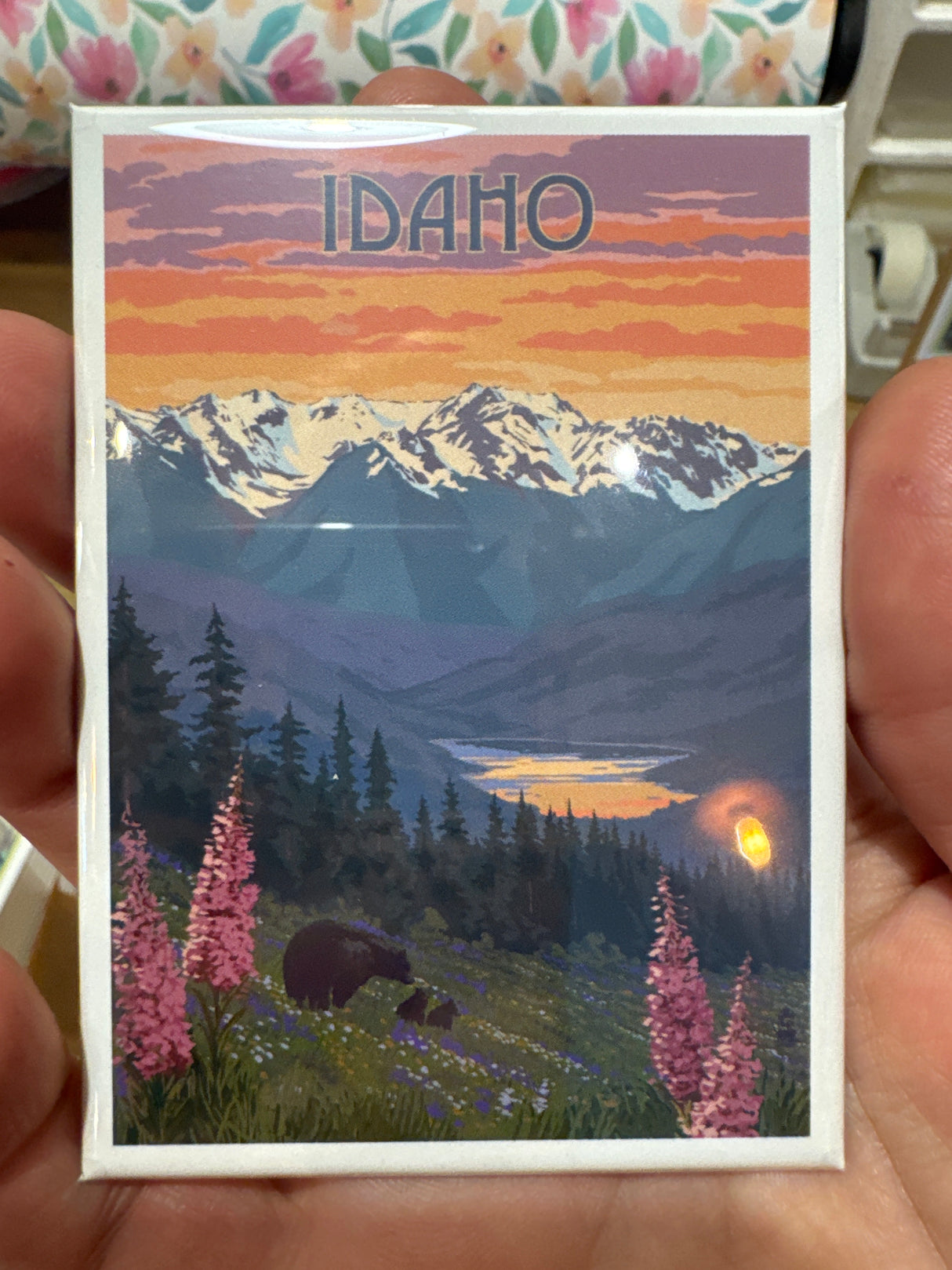 Idaho Bear Family in Meadow Magnet