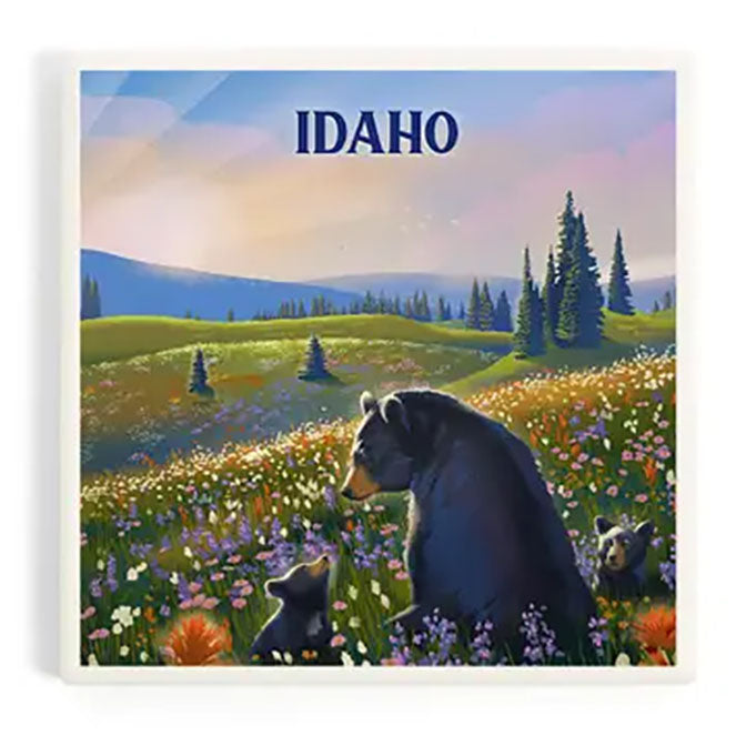 Idaho Bear Family in Field Coaster