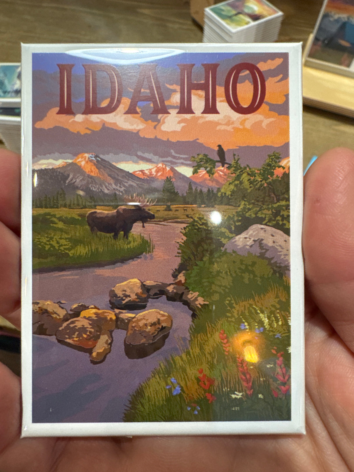 Idaho Moose Crossing the Stream Magnet