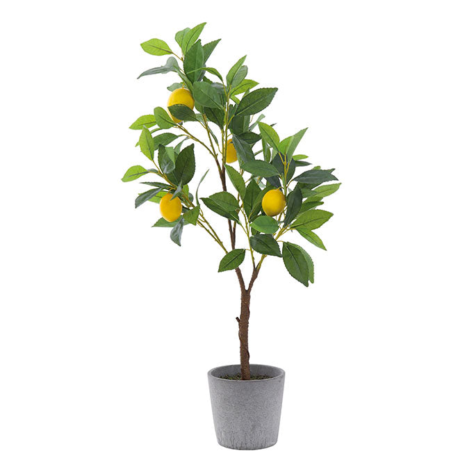 Faux Lemon Tree in Cement Pot