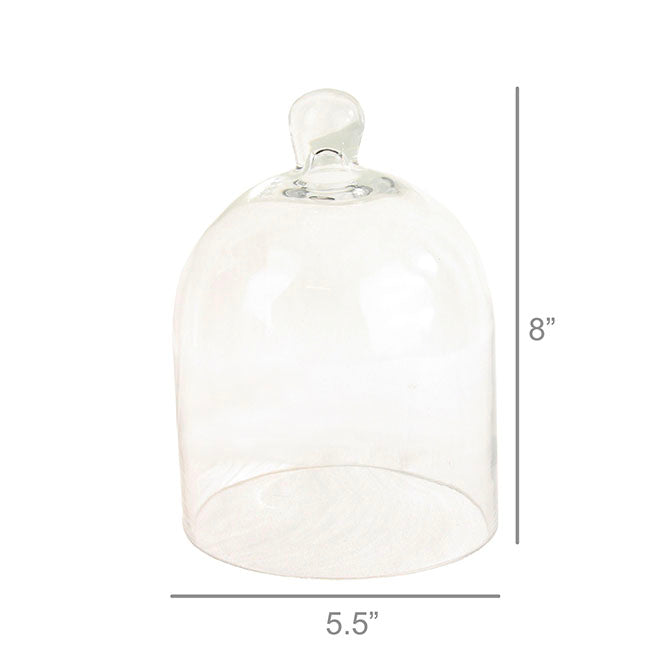 Glass Dome Small
