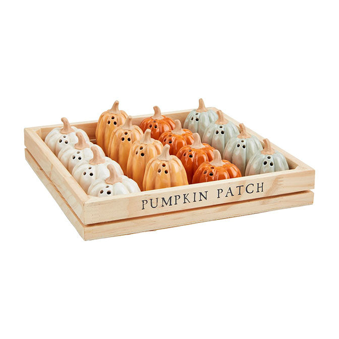 Pumpkin Salt and Pepper Shakers