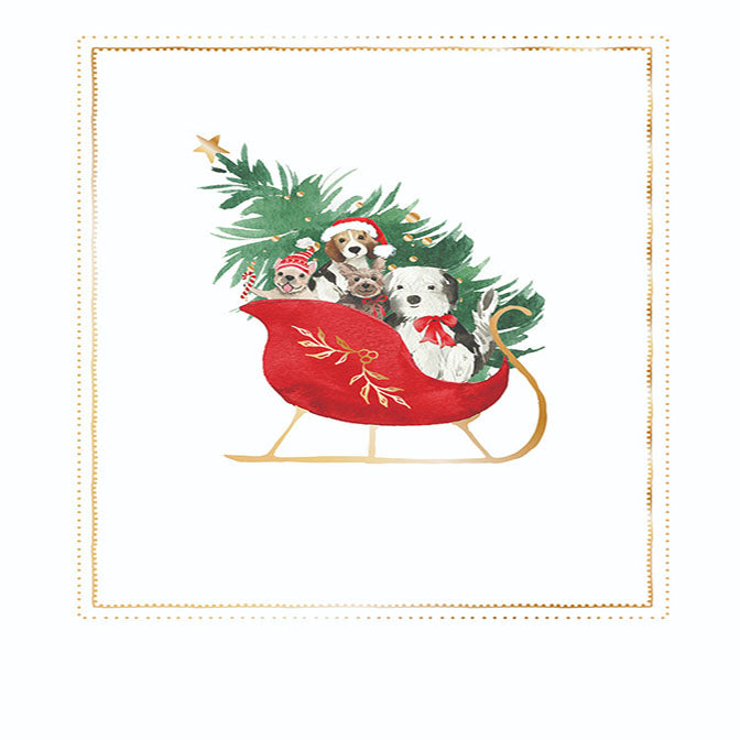 Pups in Sleigh Boxed Greeting Cards