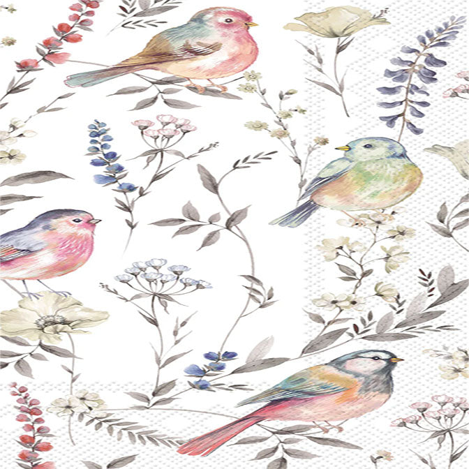 Softly Faded Birds Guest Towel