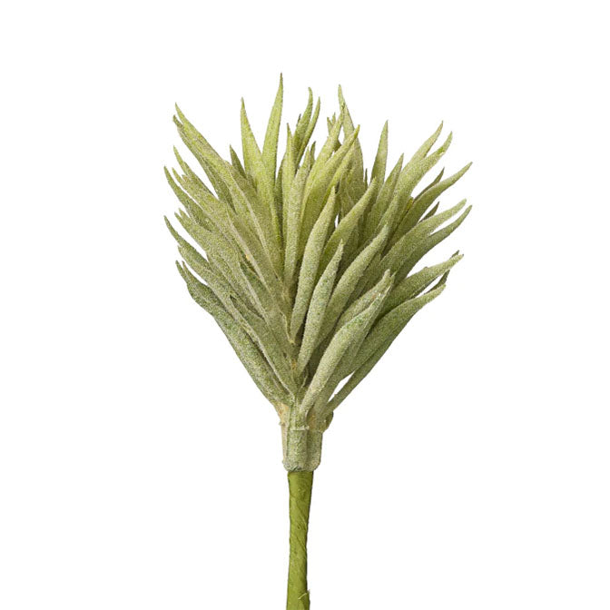 5" Pine Needle Succulent Pick