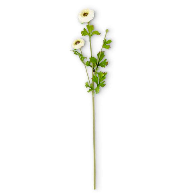29 Inch Ranunculus Spray