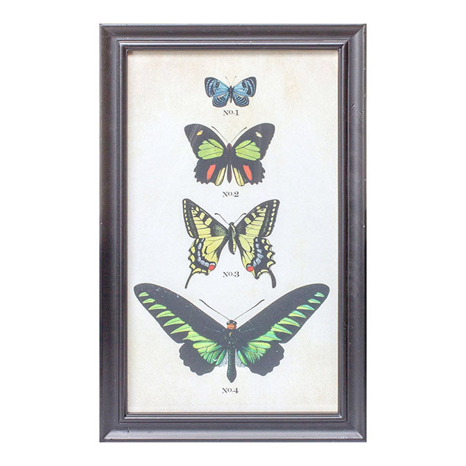 Framed Butterfly Print
