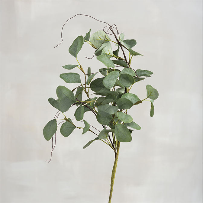 Eucalyptus Pick