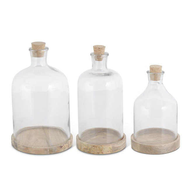 Glass Bottle Cloche on Wooden Base