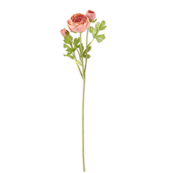 Ranunculus Coral Stem