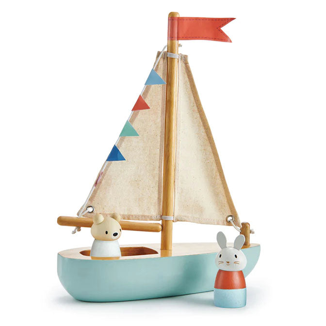 Sailway Boat