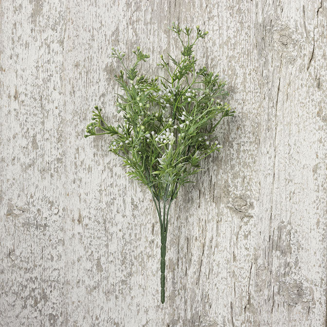 Pick-White Berries
