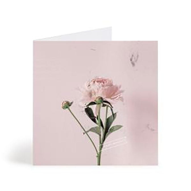 Worn Beauty Card