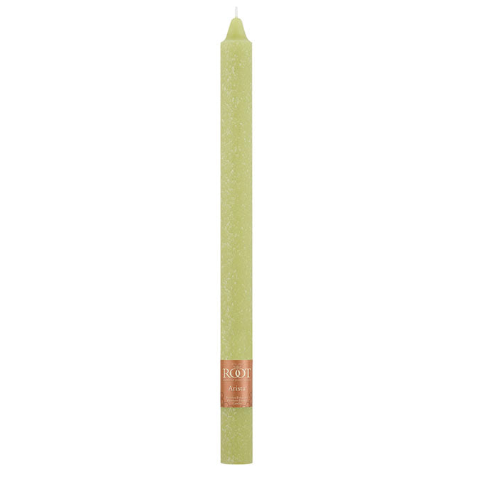Willow 12" Arista Unscented Dinner Candle