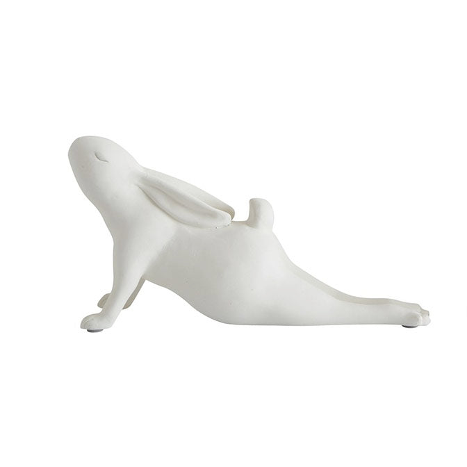 Arching Yoga Rabbit