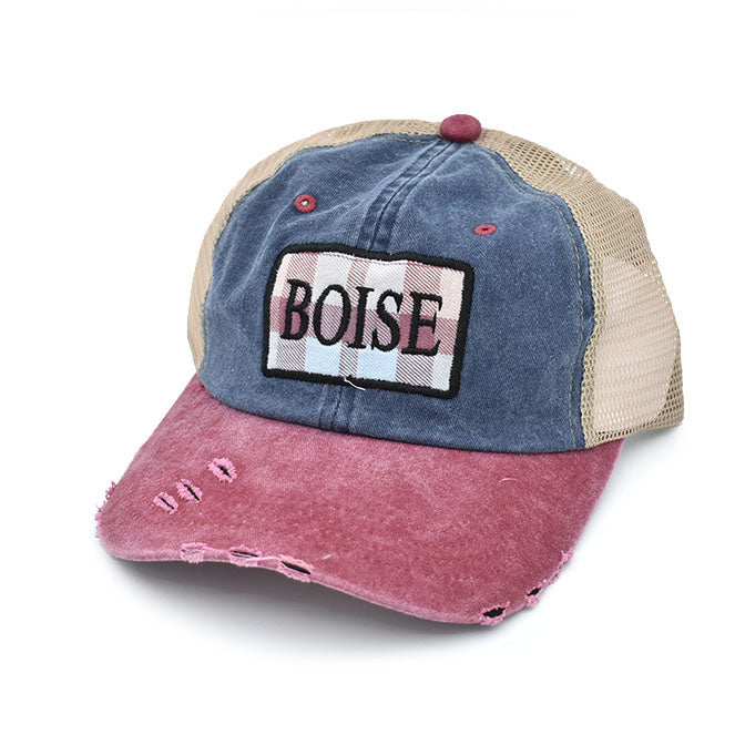 Boise Patch Hat