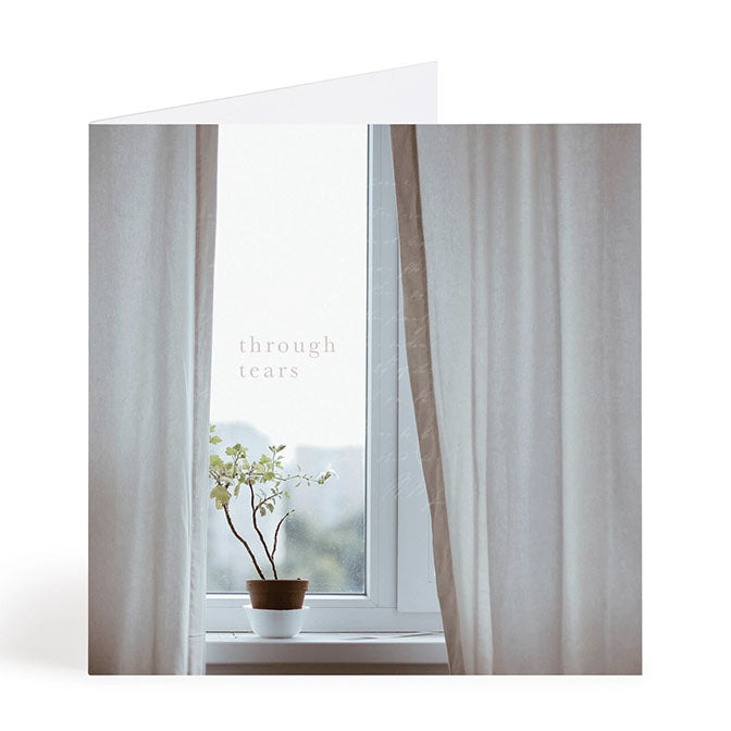 Window Plant Sympathy Card