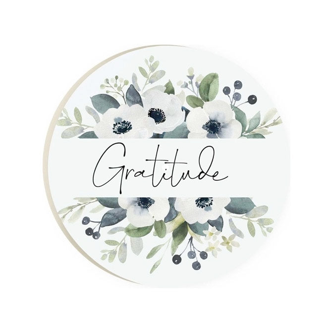 Gratitude, Coaster