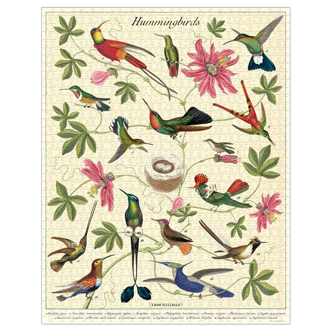 Hummingbirds Puzzle