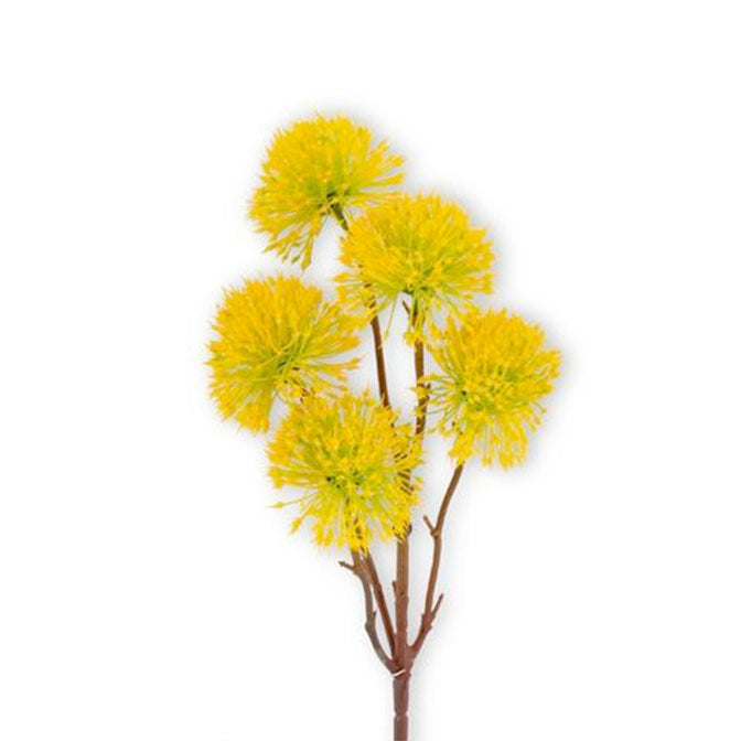 Yellow Centaurea Thistle Spray Stem