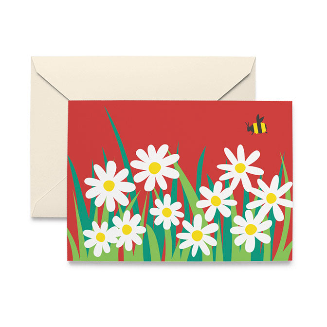 Daisies Boxed Note Cards