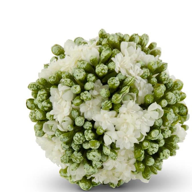 4 Inch White Kalanchoe Ball