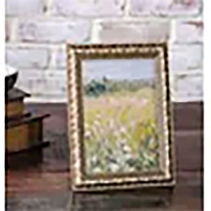 5x7 Gold Frame