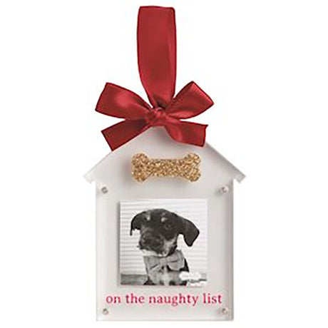 Acrylic Ornament Frame