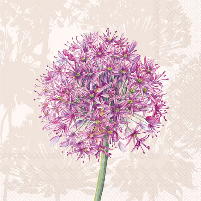 Allium Cream Cocktail Napkin