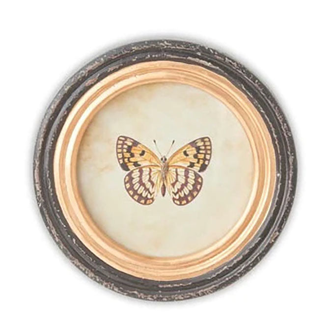 9.5 Inch Round Butterfly Prints w/Blk & Gold Frames
