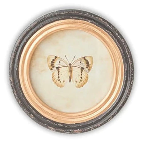 9.5 Inch Round Butterfly Prints w/Blk & Gold Frames
