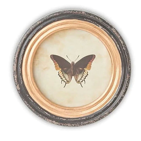 9.5 Inch Round Butterfly Prints w/Blk & Gold Frames