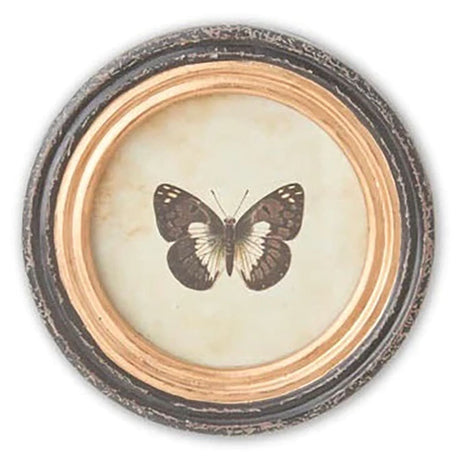 9.5 Inch Round Butterfly Prints w/Blk & Gold Frames