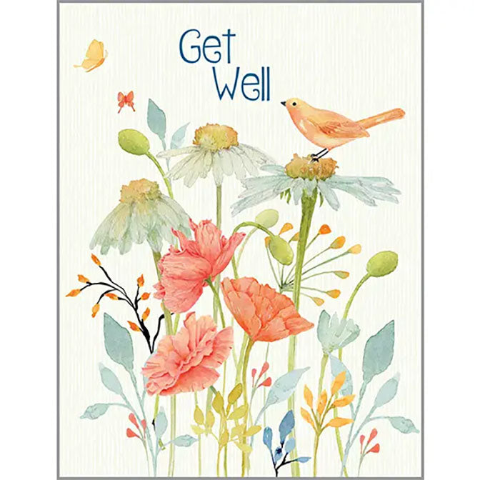 Get Well Greeting Card - Bird on Daisy