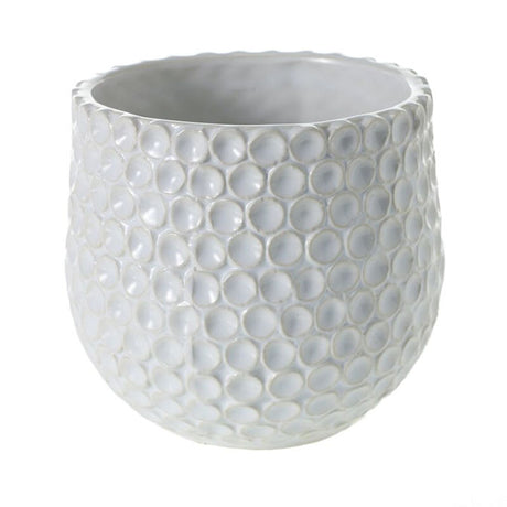 Ginny Pot
