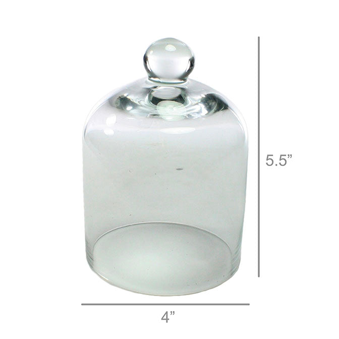 Glass Dome Mini
