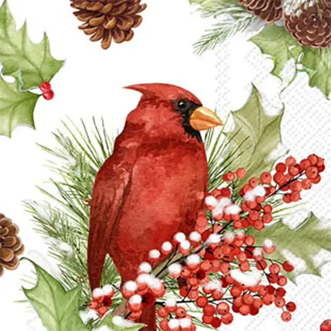 Paper Guest Towels Cardinals in Holly Christmas