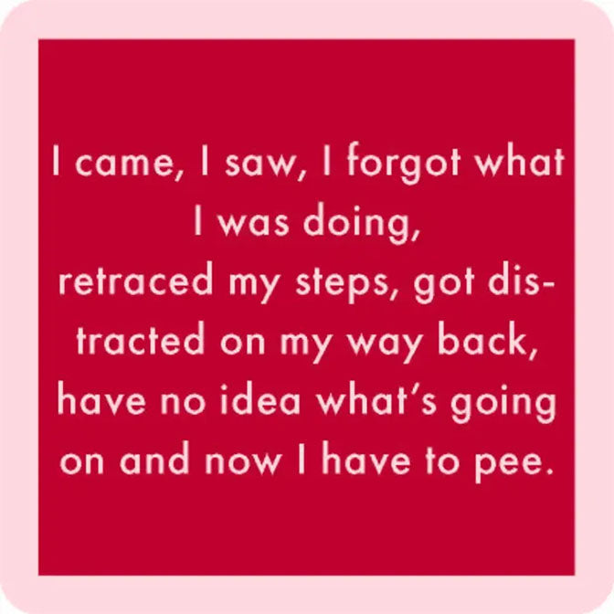 i came i saw Coaster