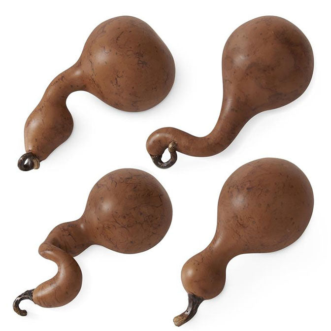 Light Brown Mini Gourds