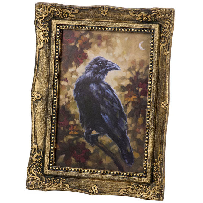 Night Raven Framed Art