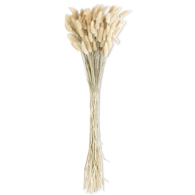32 Inch Natural Bunny Tail Wheat Bundle