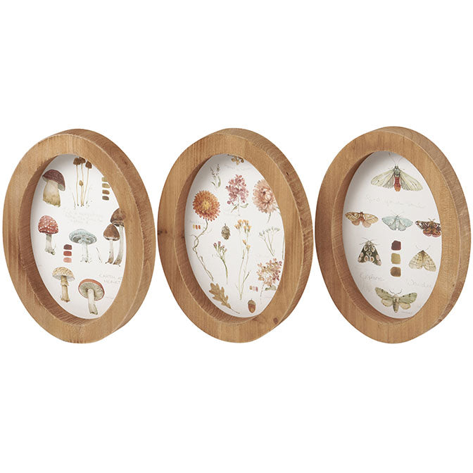 Fall Study Hanging Decor