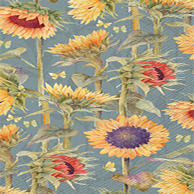 Sunflowers Guest