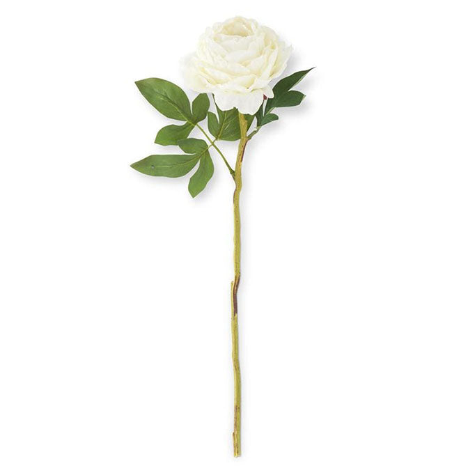 27 Inch White Peony Stem