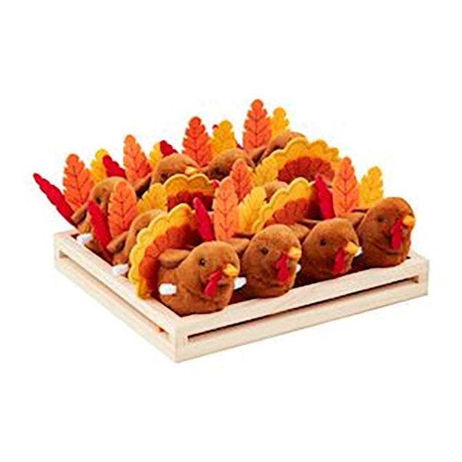 Wind Up Turkey Toy