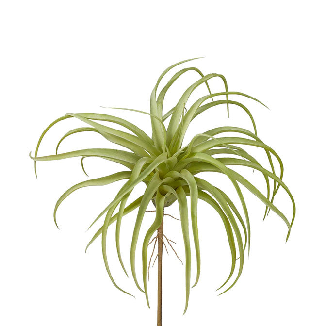 11" Green Airplant
