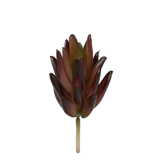 4" Mini Succulent Pick