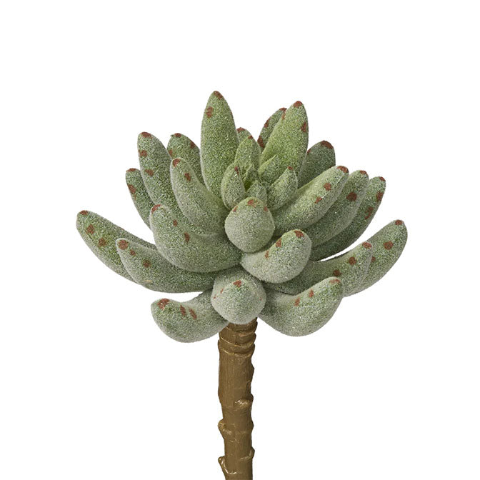 5" Flocked Succulent Stem